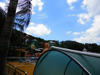 Dreams Water City