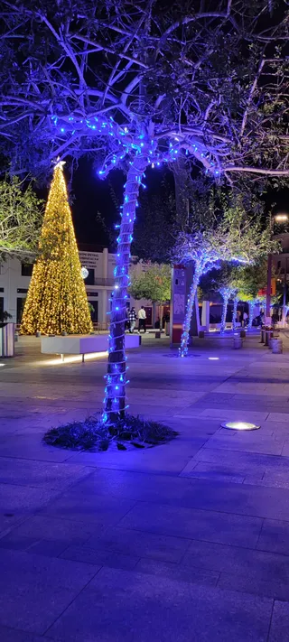 Kennedy Sq.