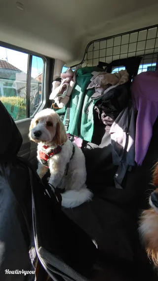 Cuckoo Trail (Polegate - Hailsham)