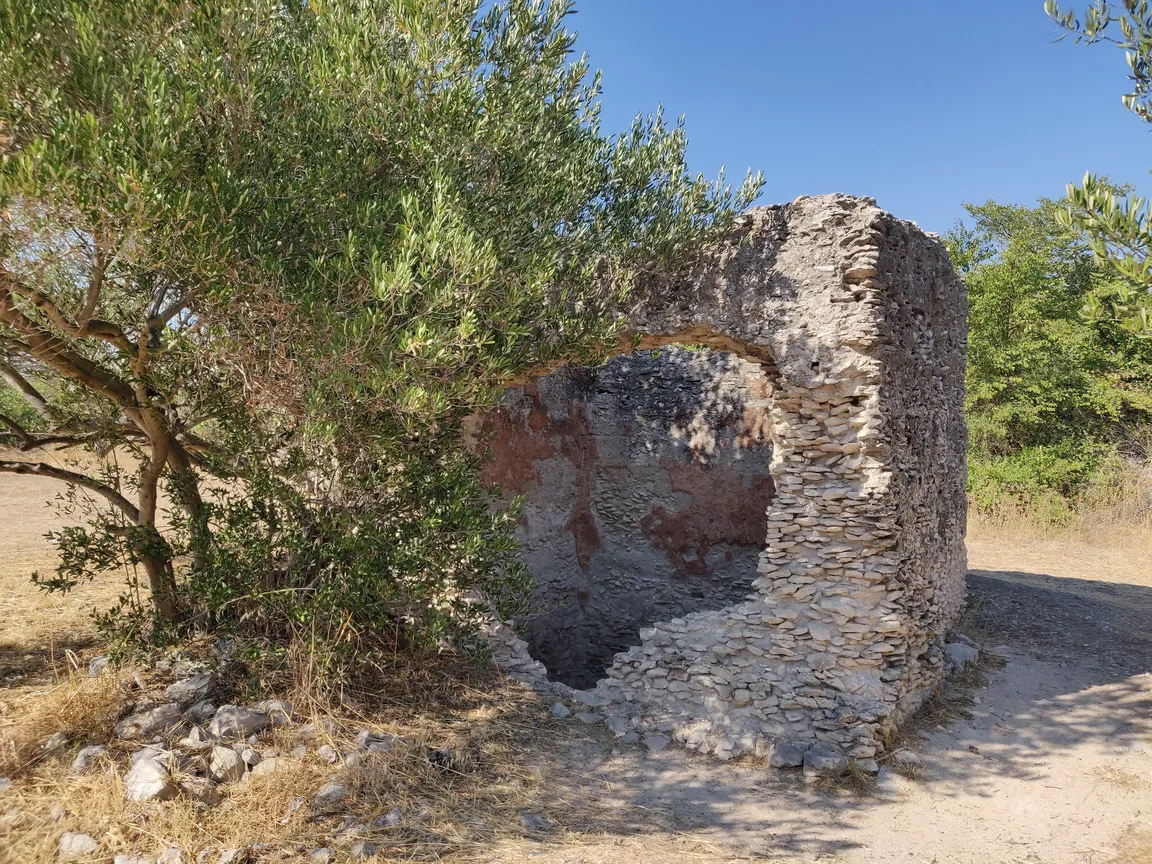 The Roman City Of Colentum