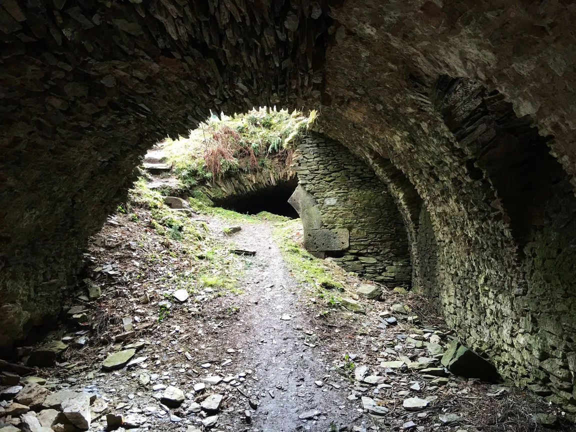 Mosel Adventure Forest