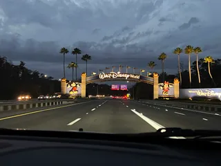 Walt Disney World