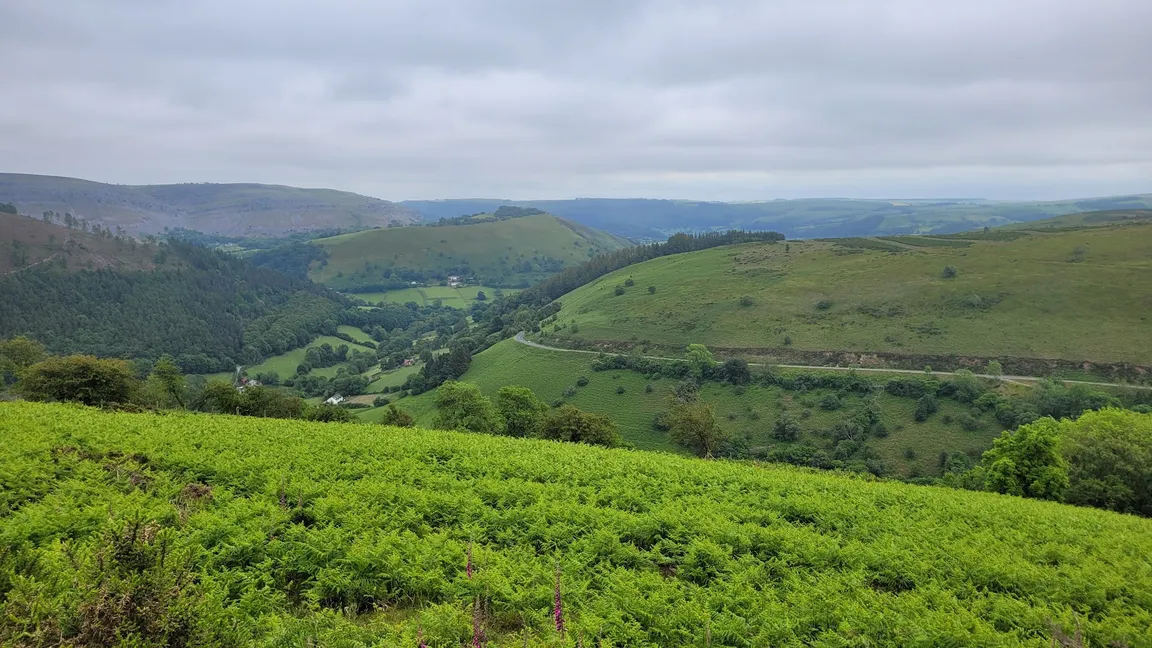 Horseshoe Pass Viewpoint