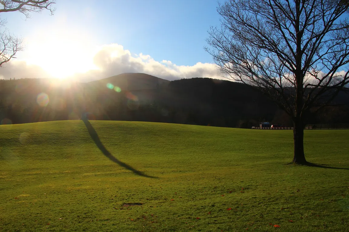 Tollymore Forest Park