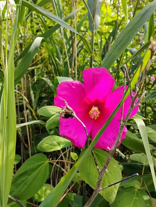 Sand Ridge Nature Center