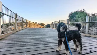 Minda Coastal Park