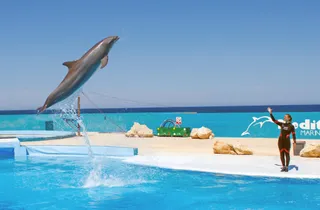 Mediterraneo Marine Park