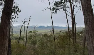 Cathedral Range State Park