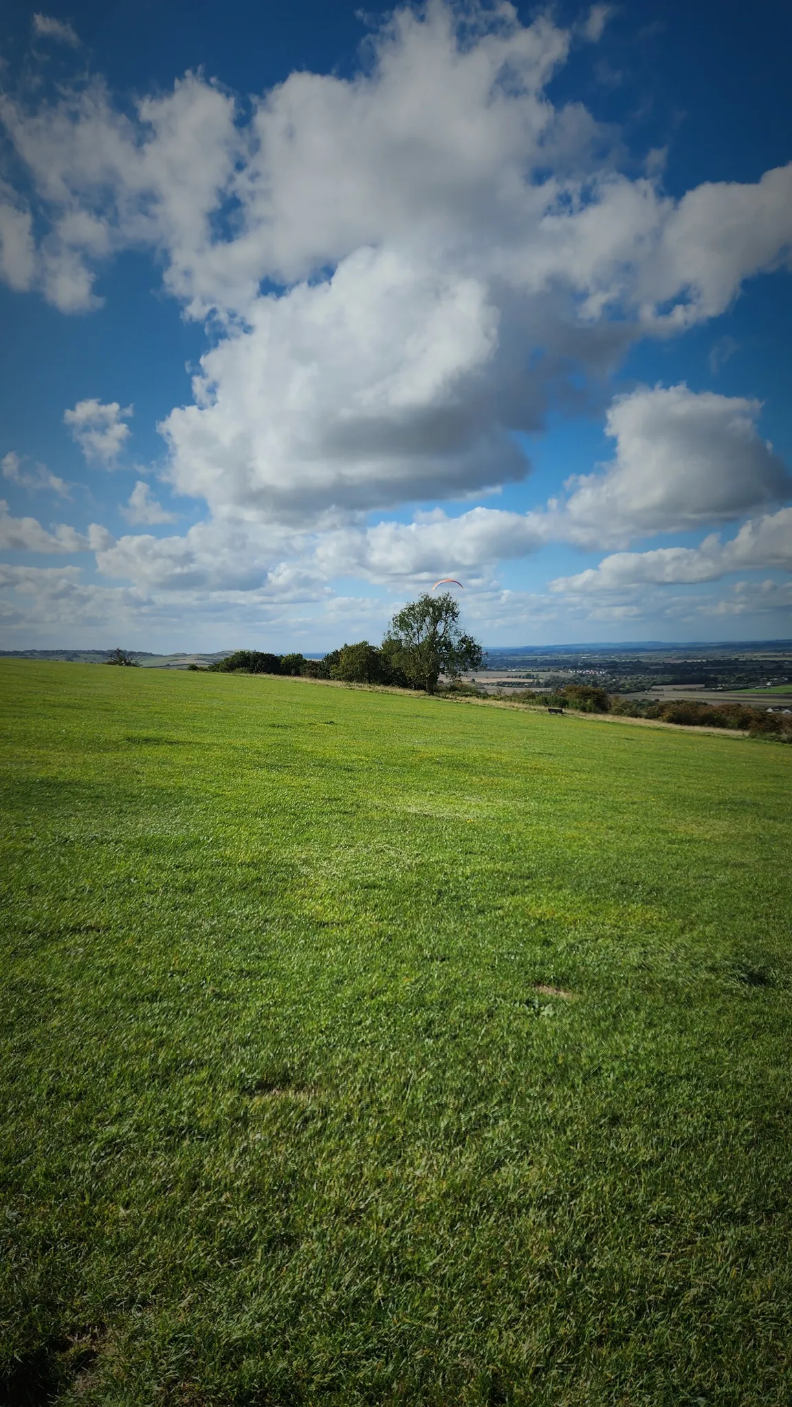Chilterns National Landscape
