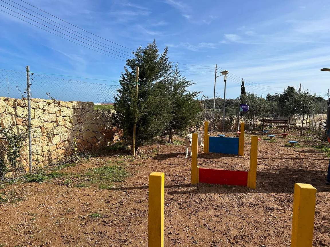 Dog Park