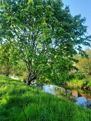 Rzeka Ina