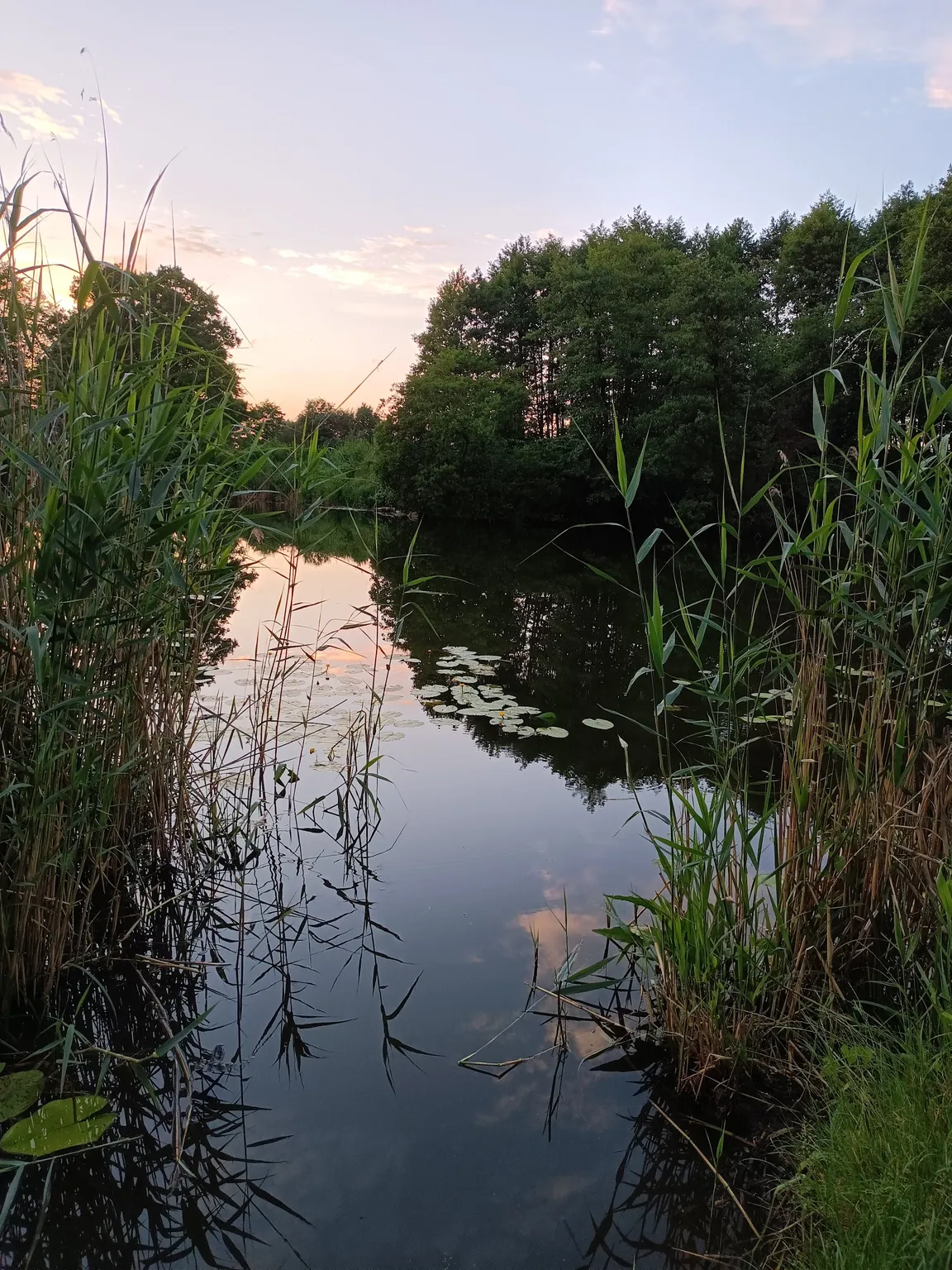 Kąpielisko dzikie jezioro kielpinskie