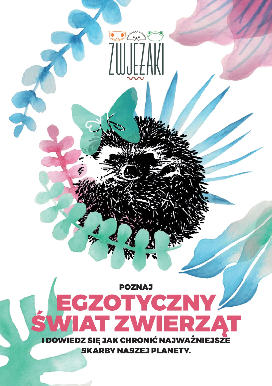 Zwjeżaki i Pan Przygoda- zajęcia ze zwierzętami, warsztaty dla dzieci, animacje urodzinowe.