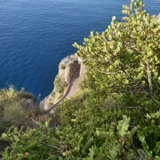 La Volpe Pescatrice