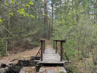Granville State Forest