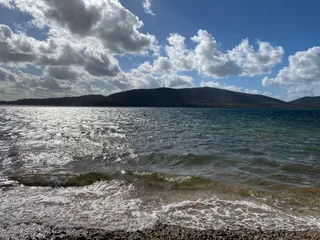 Pineda de la Badia de les Nimfes (Pineta)