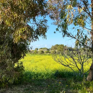 Attard Nature Farm