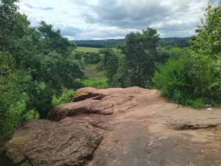 Rifle Range Nature Reserve