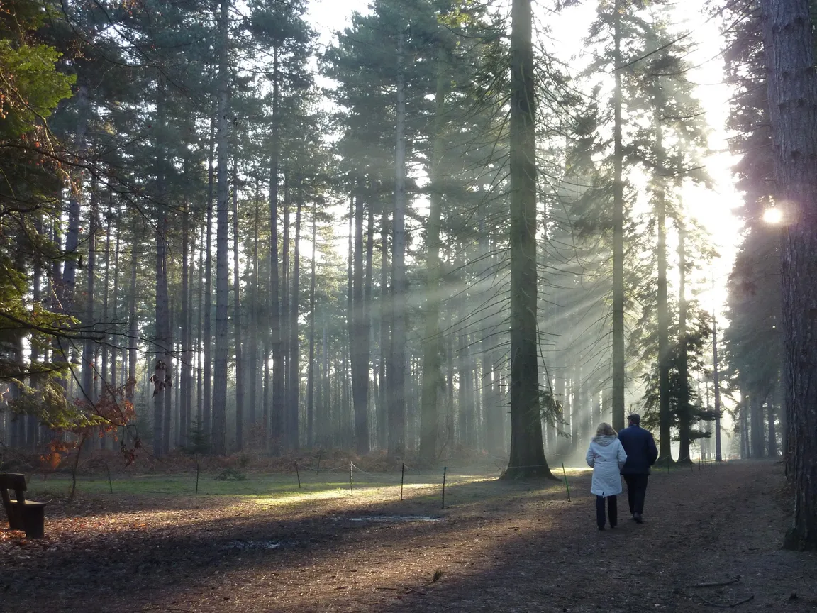 Black Park Country Park
