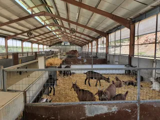 RIVERLAND BIO FARM