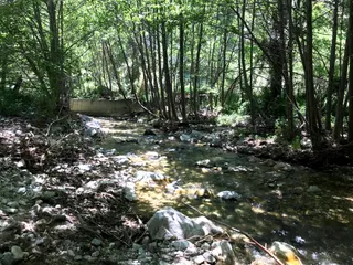 Brown Mountain Dam