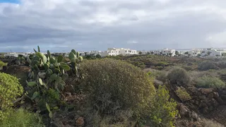 Sendero Litoral de Jameos