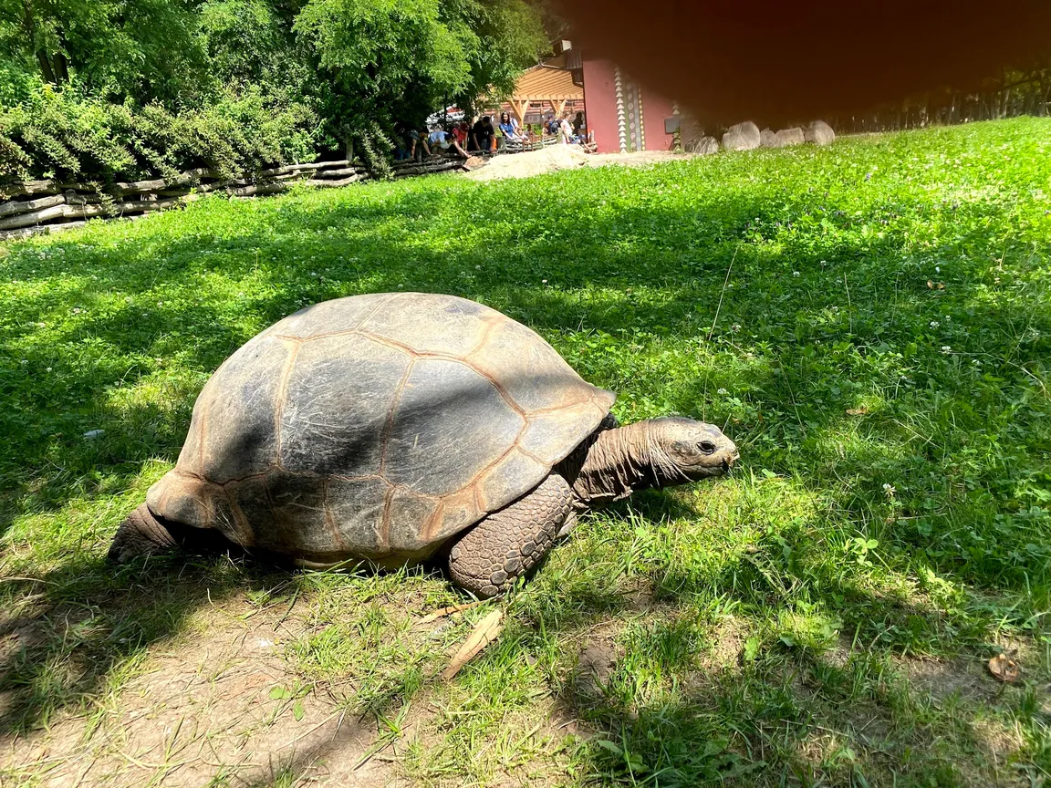 Dvůr Králové Zoo
