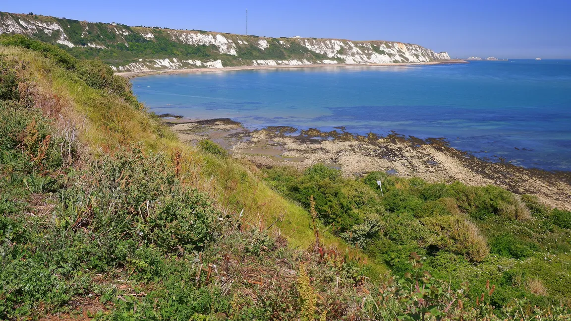 East Cliff and Warren Country Park