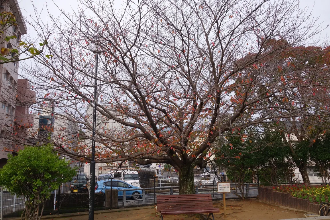 Tenshu Park