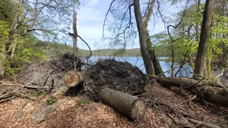 Rezerwat przyrody nad Jeziorem Ciecz