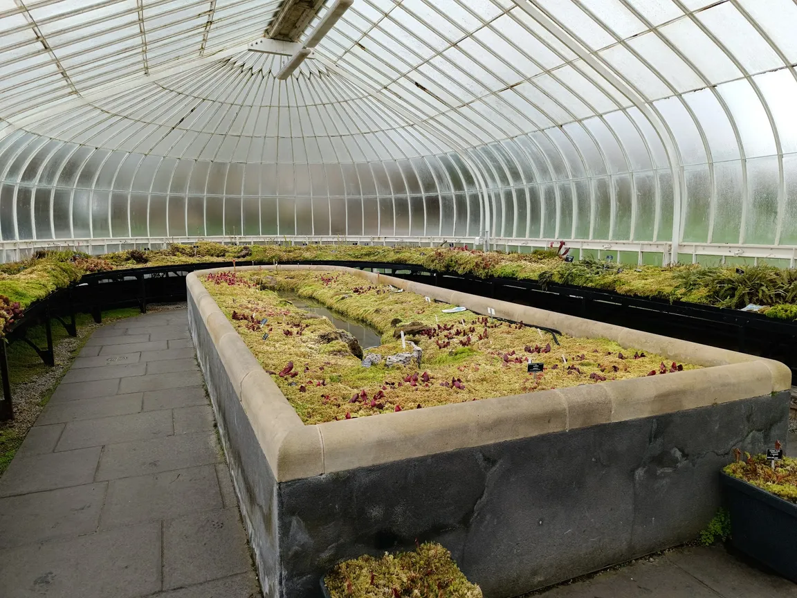 Kibble Palace