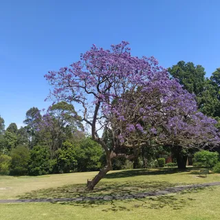 Brennan Park