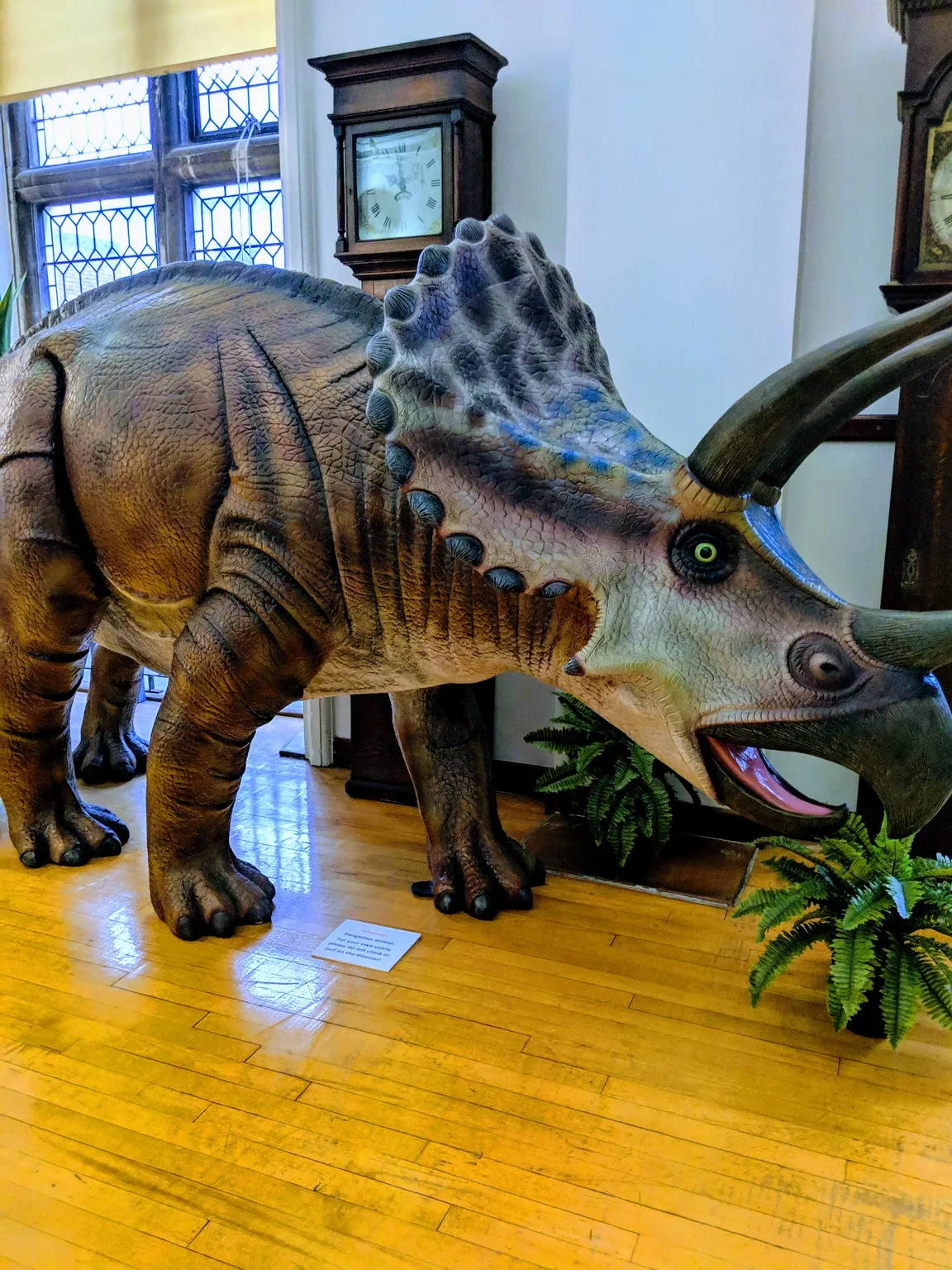 Museum Of Gloucester