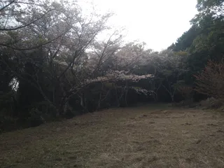 不動山