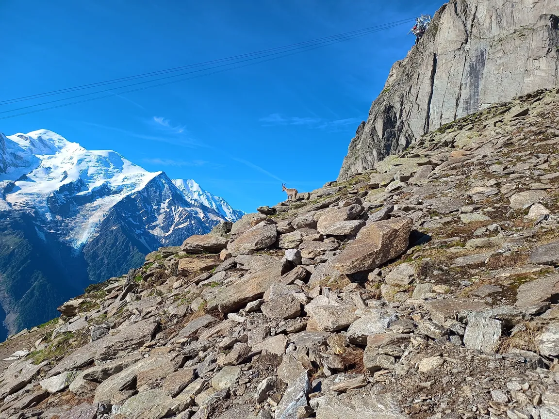 Le Brévent, Chamonix