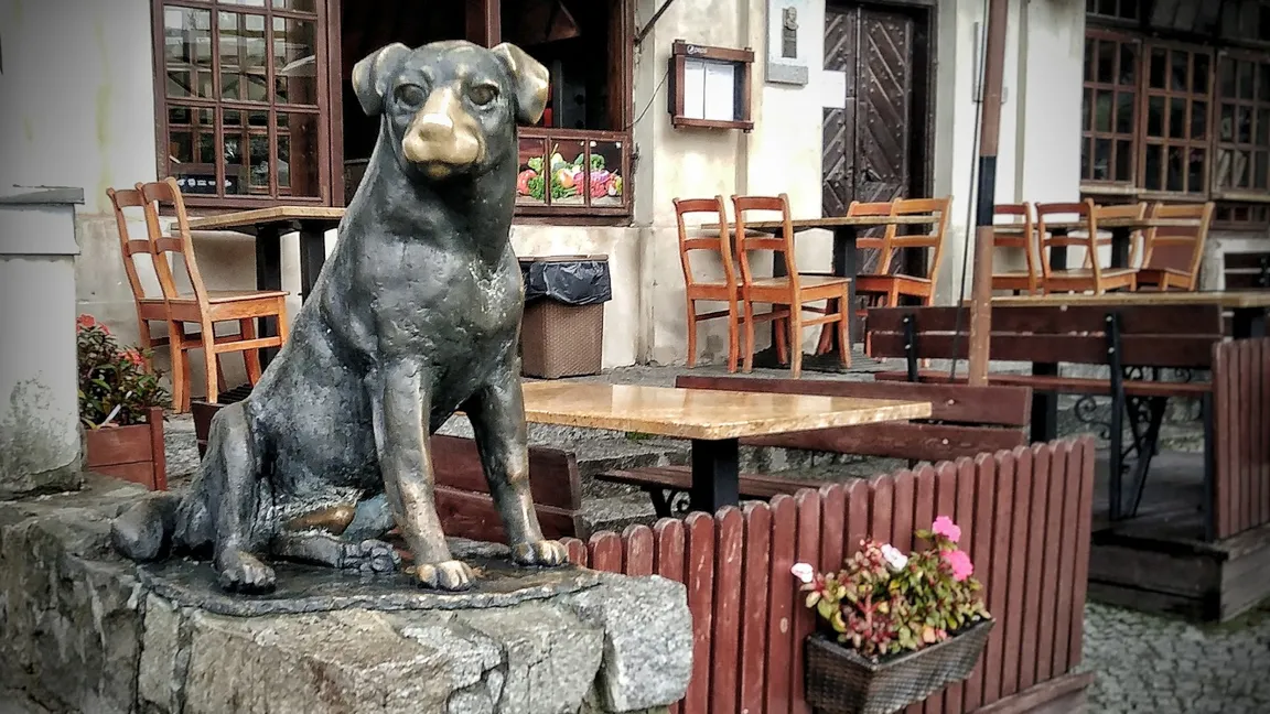 Rynek w Kazimierzu Dolnym