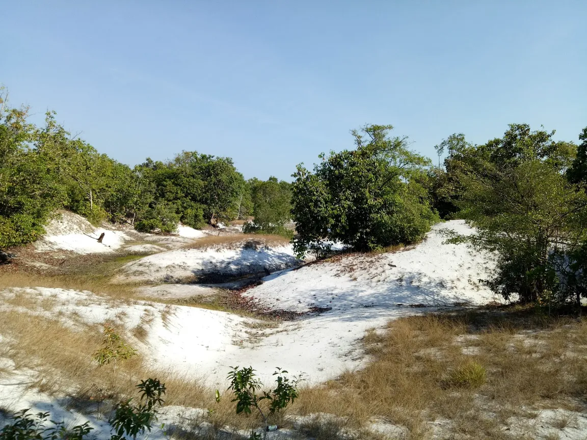 Ko Phra Thong