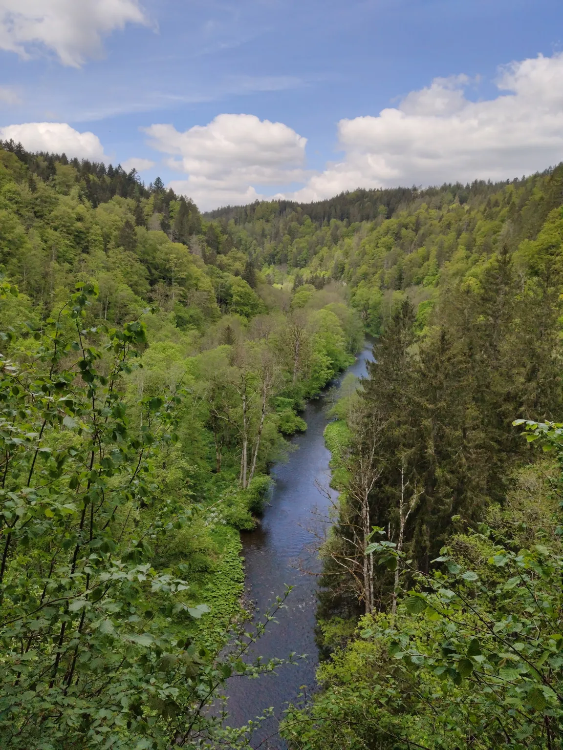 Wutachschlucht