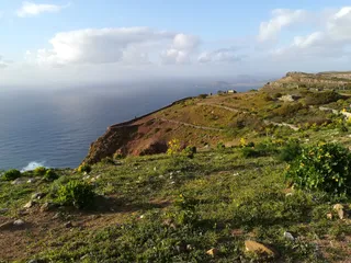 El Bosquecillo