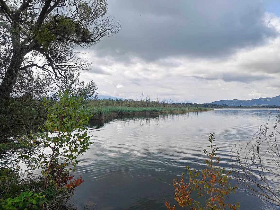 Lagunen-Rundwanderung Rheindelta - Bodensee