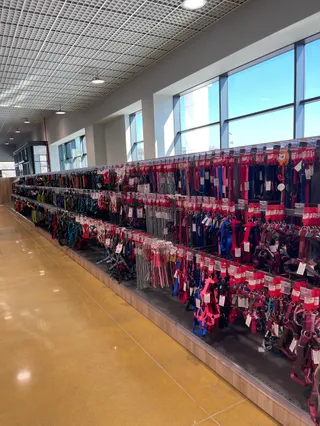 C.i.a.m. Pet Store