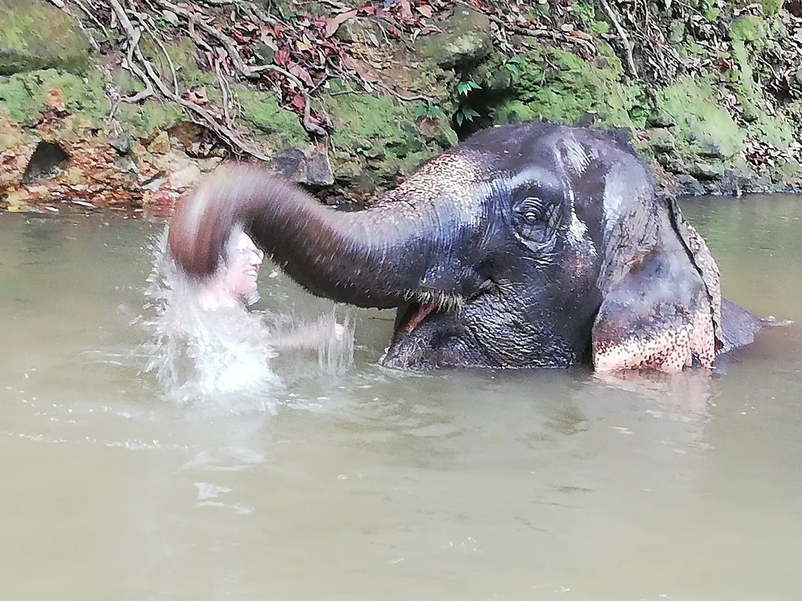 Ban Kwan Chang Elephant Camp