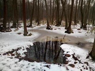 Kamień Zboińskiego