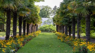 Flora Cologne - Palais im Park