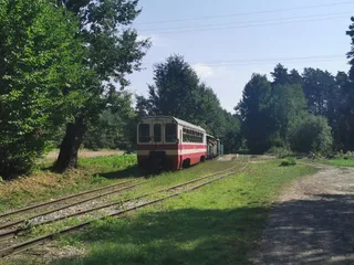Starachowicka Kolej Wąskotorowa - przystanek Lipie
