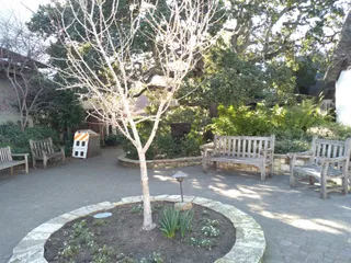 Piccadilly Park