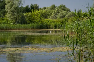 Velo Dunajec