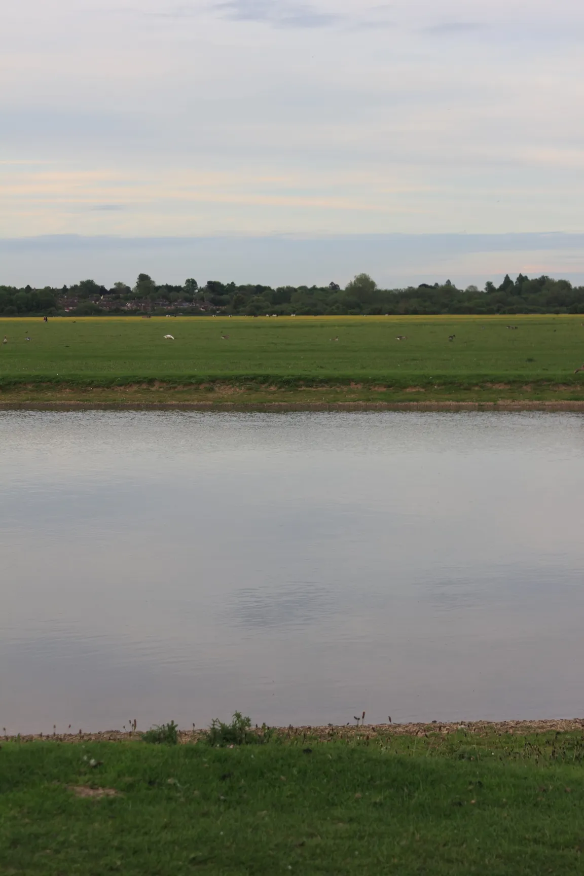 Godstow Abbey