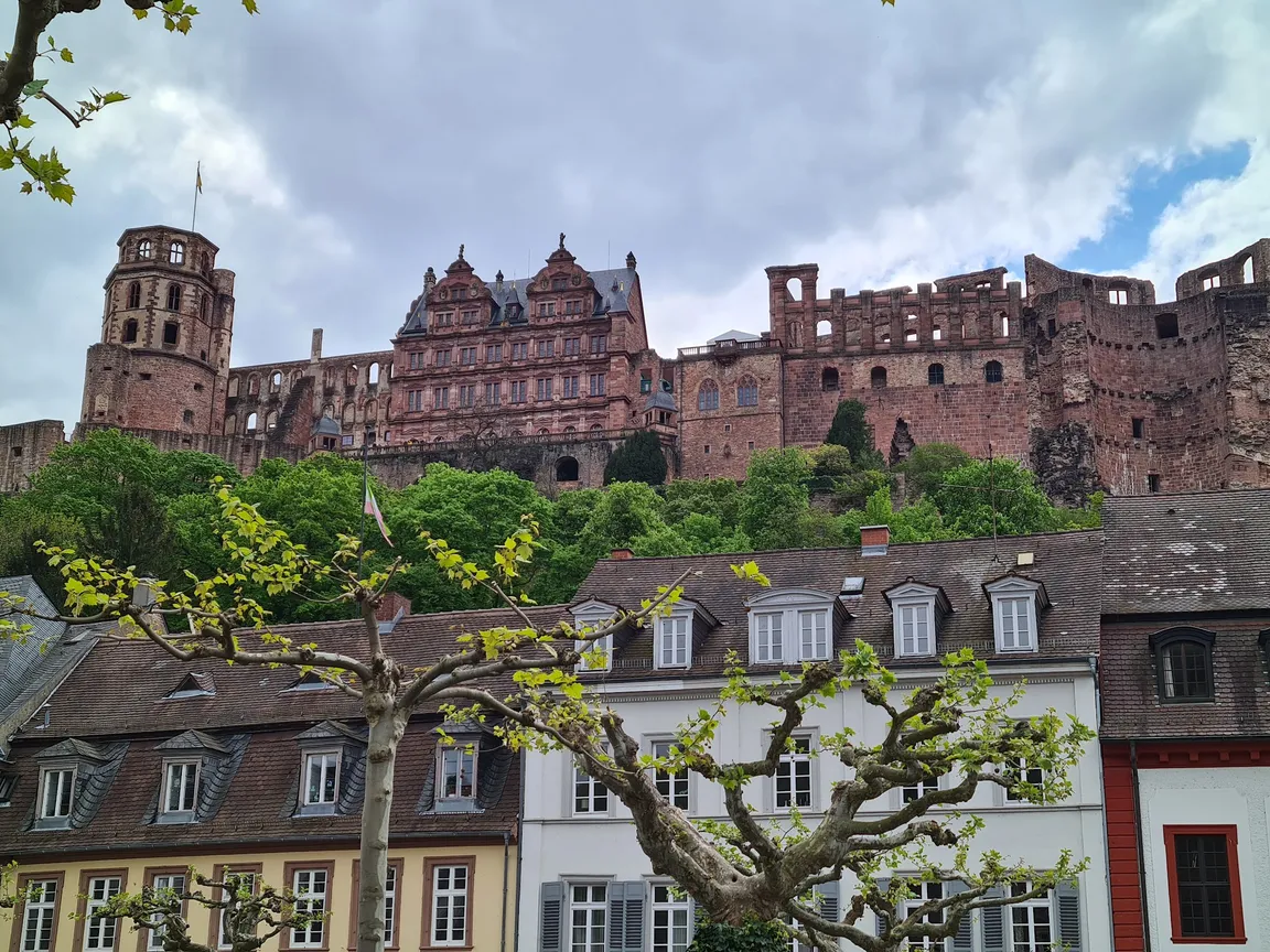 Zamek w Heidelbergu