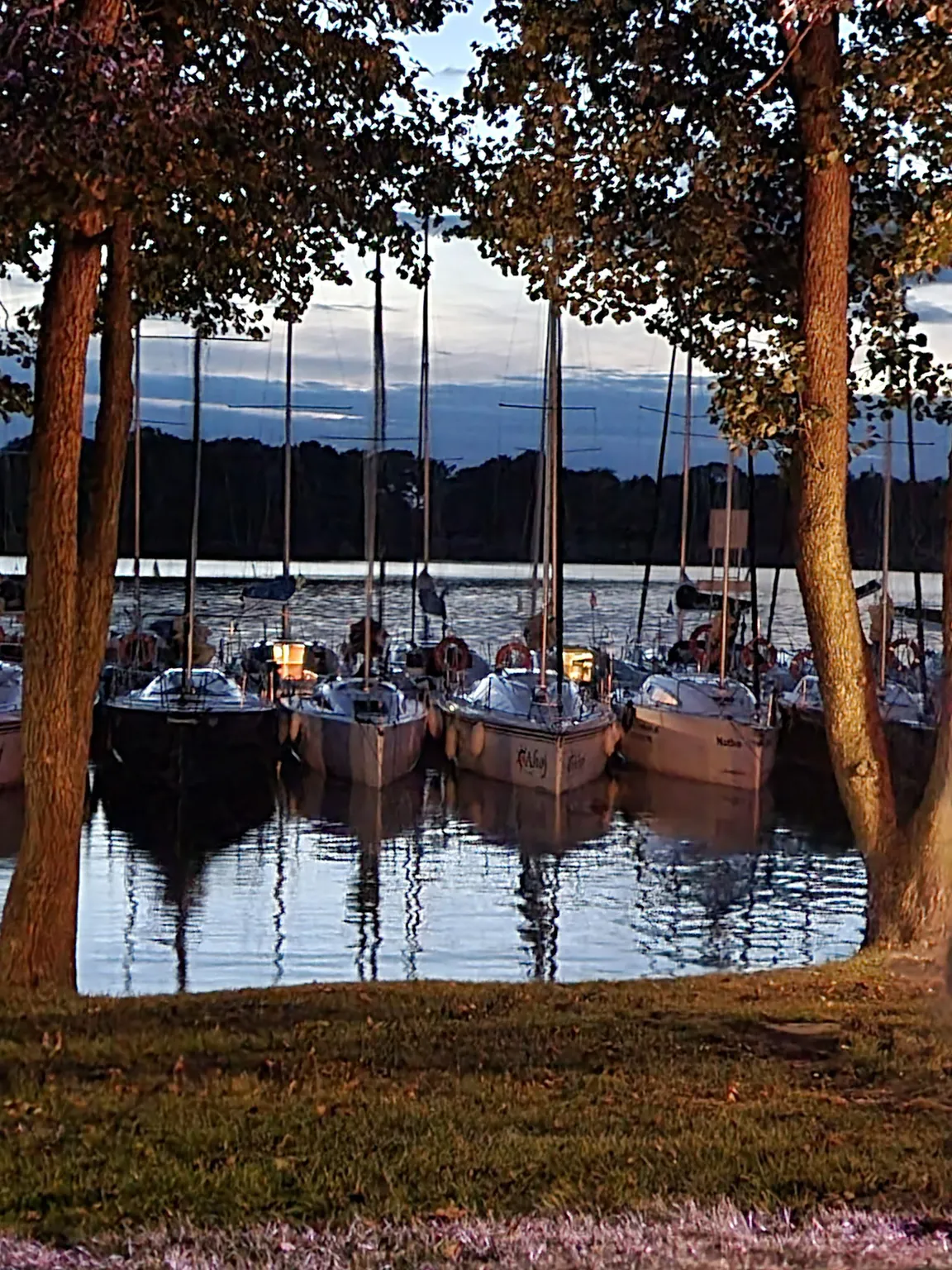 Port Trygort